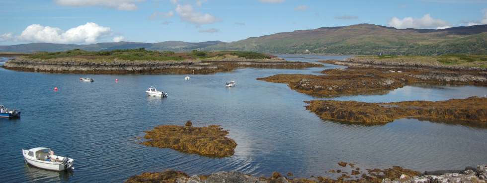 Argyll Scene